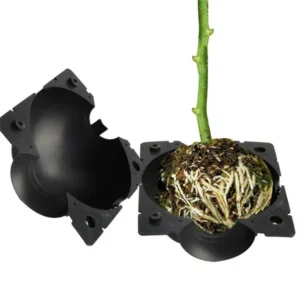 CampGlut Pflanzen-Vermehrungsbox für Hochdruck-Propagation im Garten.