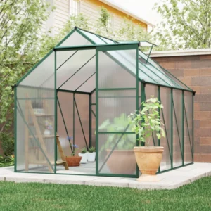 Grün-6 X 2,4 m Gewächshaus für den Außenbereich