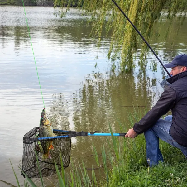 Fischernetz mit Aluminiumlegierungsstab, EVA-Griff, langlebig, 5 mm – Bild 2